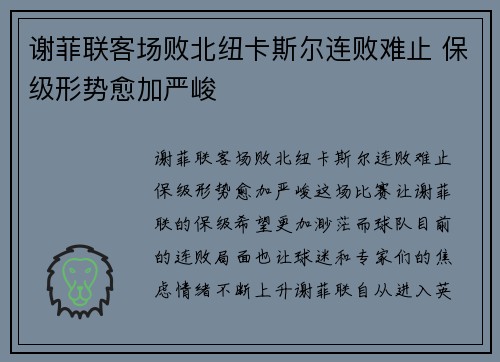 谢菲联客场败北纽卡斯尔连败难止 保级形势愈加严峻